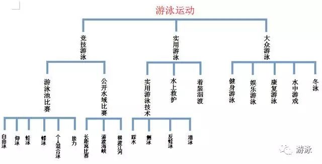 男子游泳比赛有哪些_男子游泳比赛的规则_游泳规则男子比赛视频